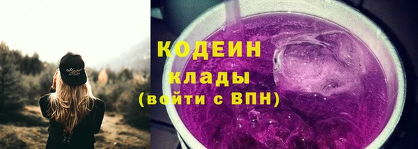 спиды Богданович
