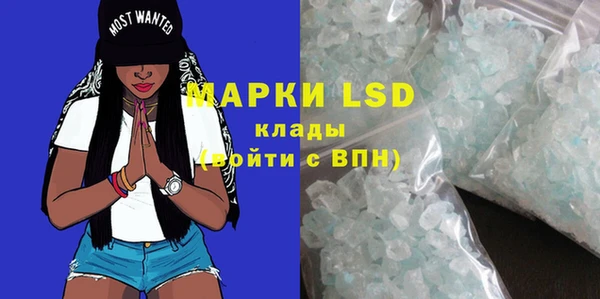 спиды Богданович