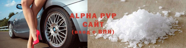 спиды Богданович