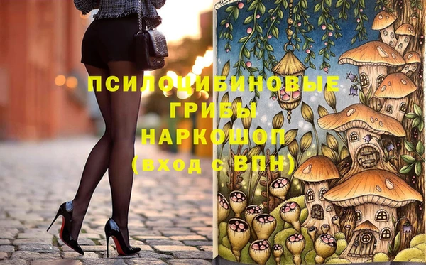 ГАЛЛЮЦИНОГЕННЫЕ ГРИБЫ Богородицк