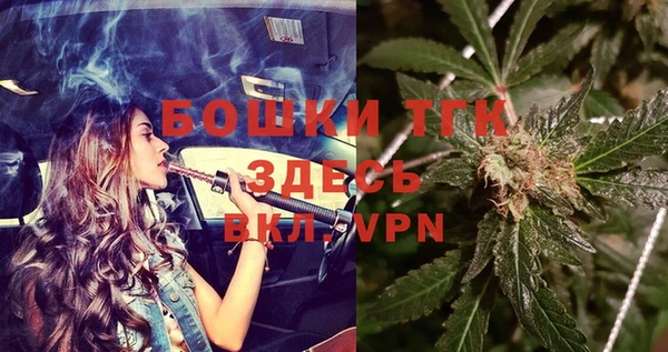 спиды Богданович