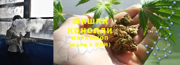 спиды Богданович